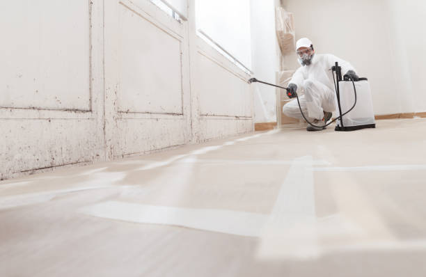 Black mold remediation team in Park Ridge